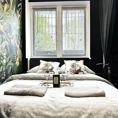 Golden ~ 1000m Main Square ~ Self Check-in 24h Apartament Wrocław